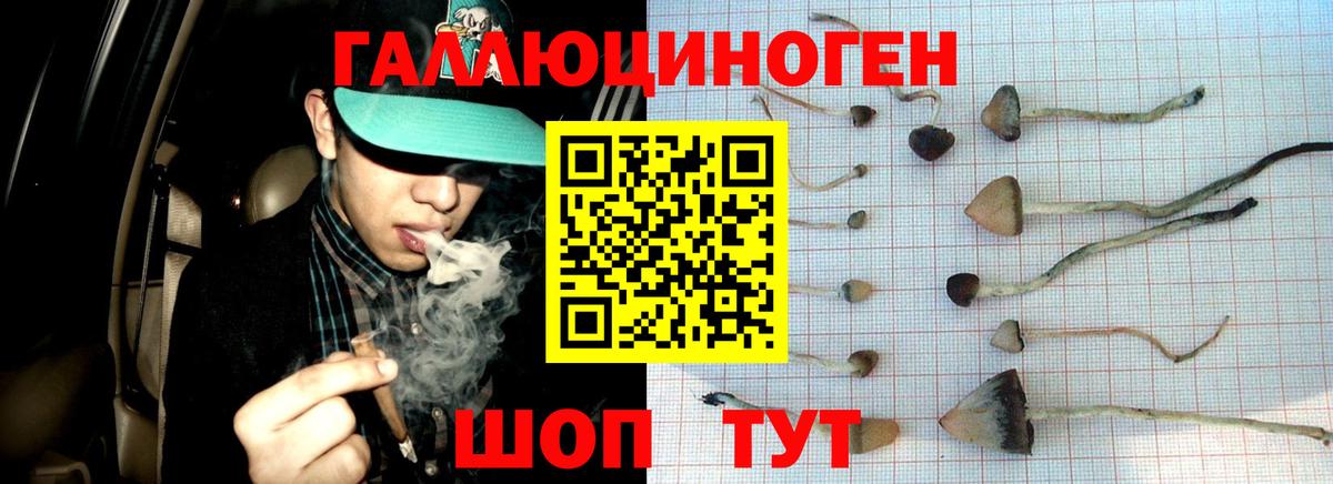 Галлюциногенные грибы мицелий Москва